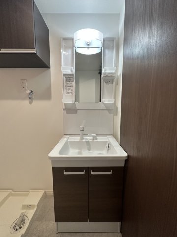 ベイルーム本厚木旭町303号室 洗面