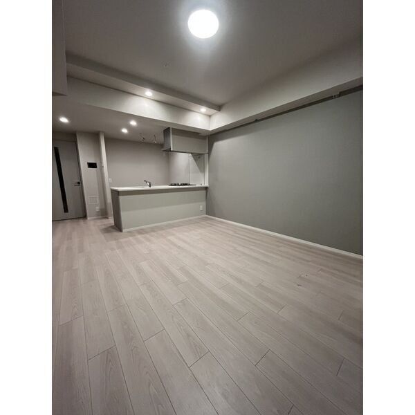 スプランディッド上野North401号室 リビング