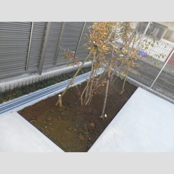 ノーブルさつき 植栽