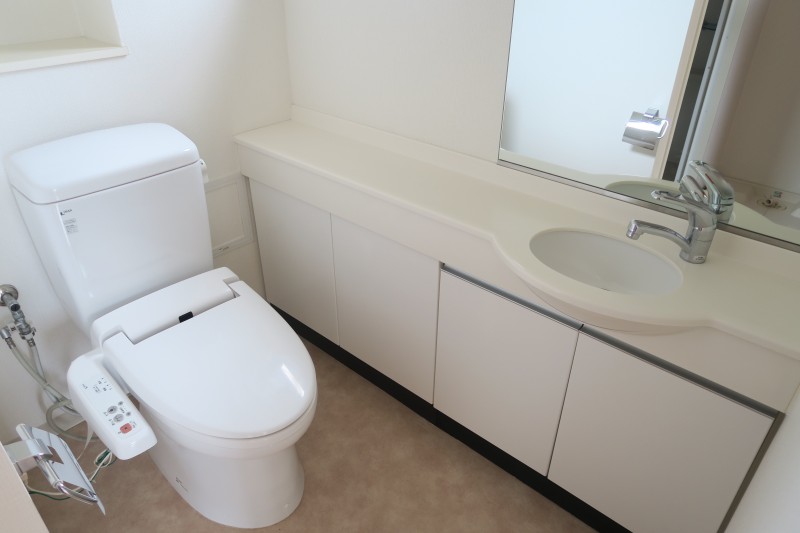 グレイスコート志村三丁目5階 洗面