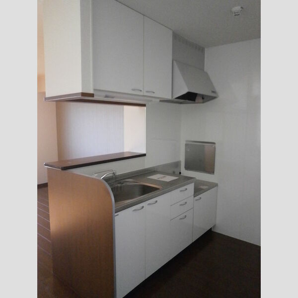 ザ・ハウス野田302号室 キッチン