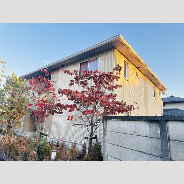 アルシオン　A203号室 外観