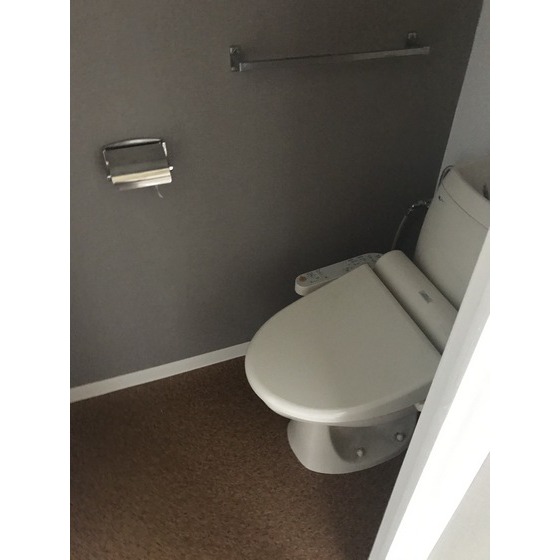 シュロス中之庭 トイレ①