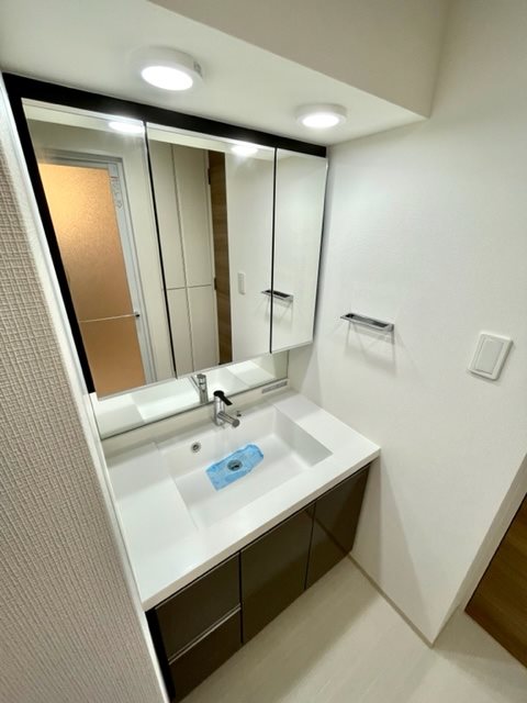 レジディア大手町北6階 洗面