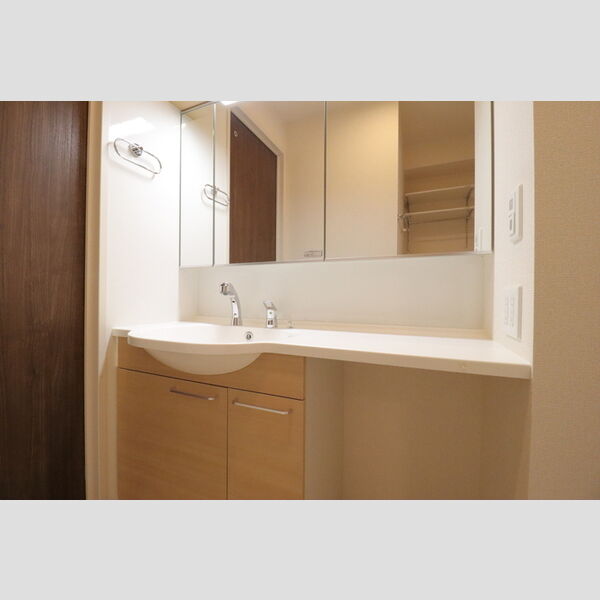 ロイジェントパークス レイクタウン Ⅱ　K 洗髪洗面化粧台