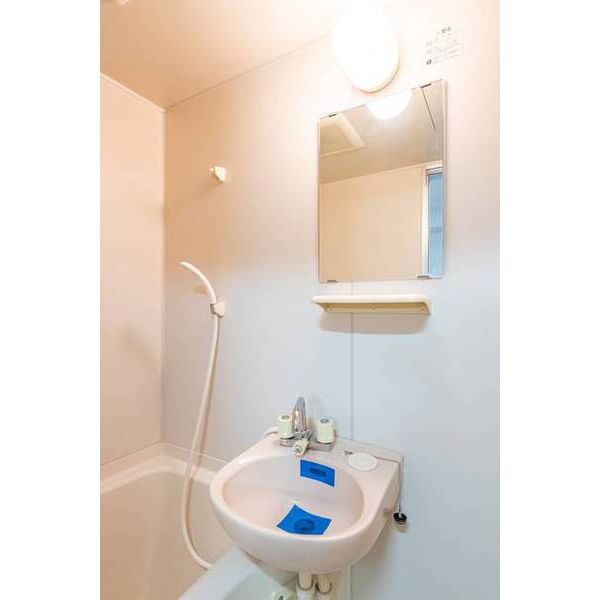 ラ・レジダンス・ド・鷺沼0214号室 洗面