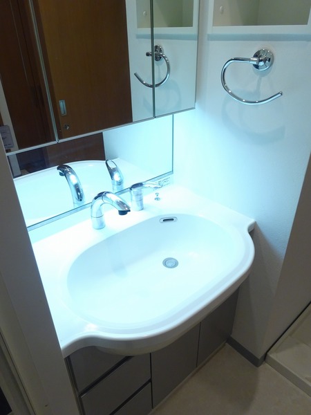 日神デュオステージ上板橋301号室 洗面