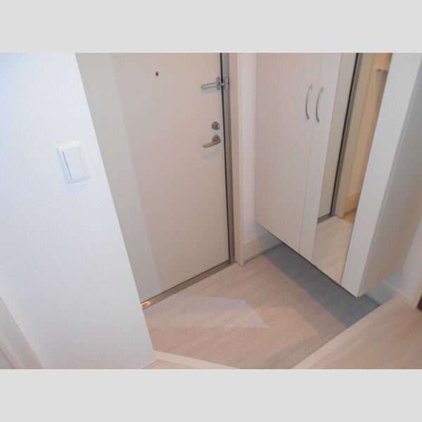 ロイジェントパークス草加手代　C 玄関