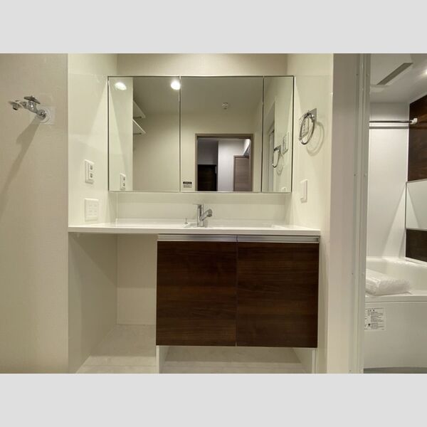 グラナーデ祖師谷206号室 206号室洗髪洗面化粧台