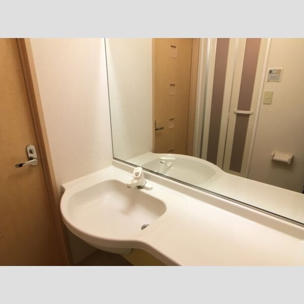 ボーヌファムⅢ　Ⅲ105号室 洗面所には大きめの鏡がございます。