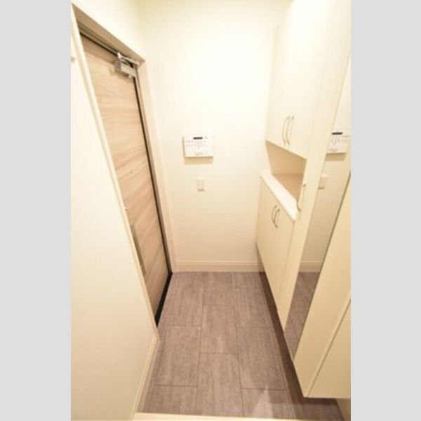 エミグランド愛甲石田105号室 玄関