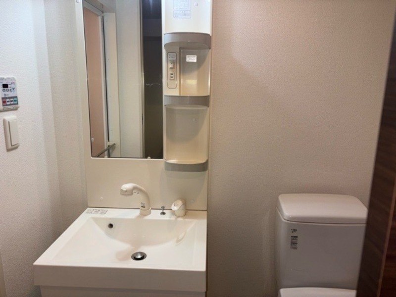 レグラス横浜吉野町 洗面