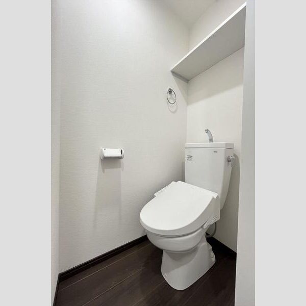リーブルファイン大袋駅前302号室 トイレ