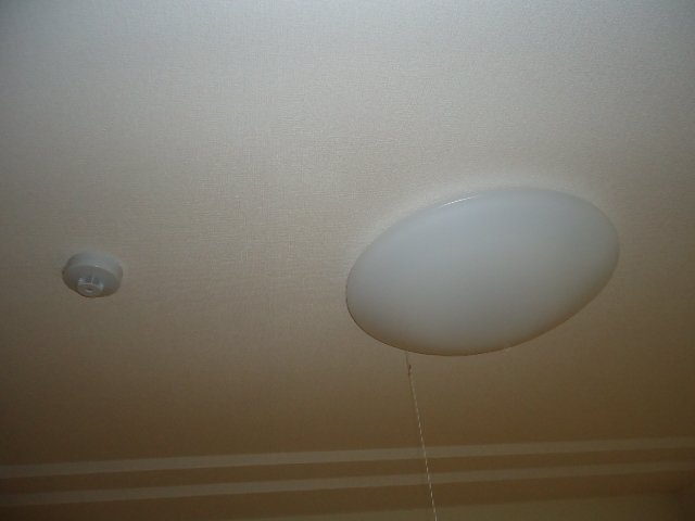 ヴァンヴェール205号室 照明