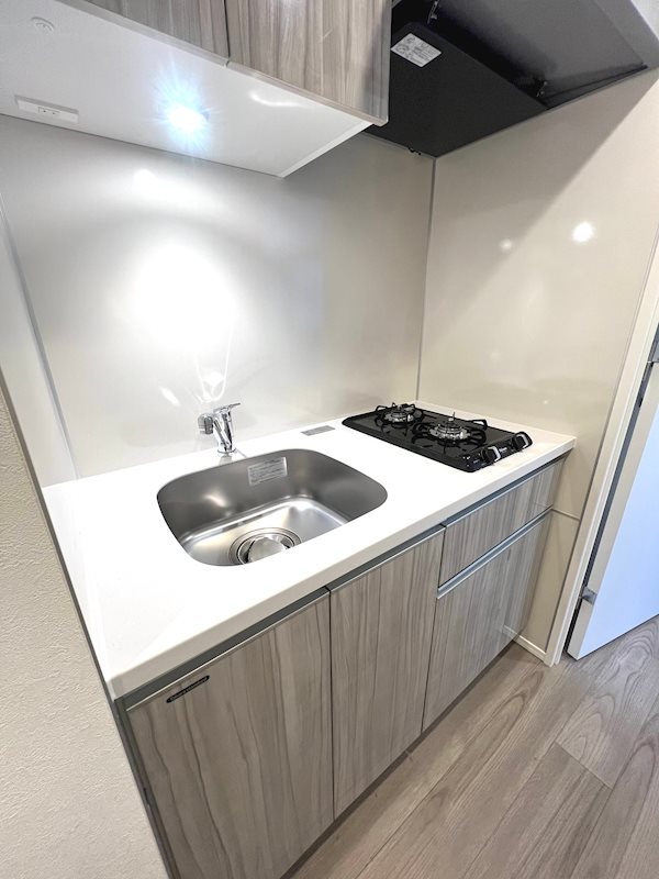 ステージグランデ稲城長沼駅前1階 ※カラー・タイプ異なります