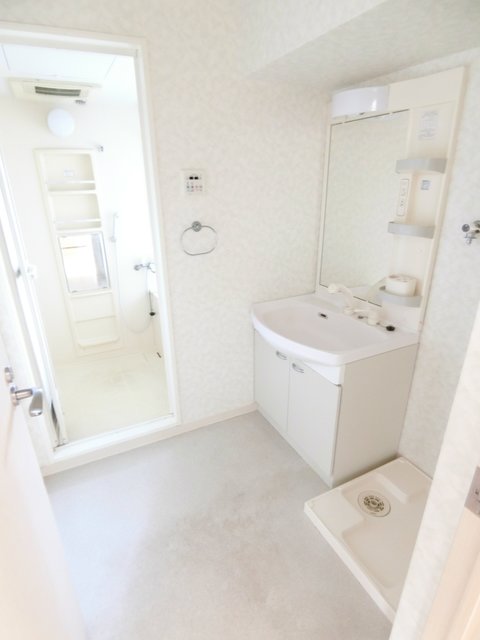 キャピタルノア日野0501号室 洗面