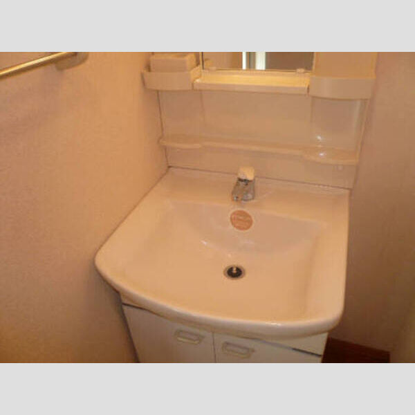 セレニティーホームズ　A 洗面