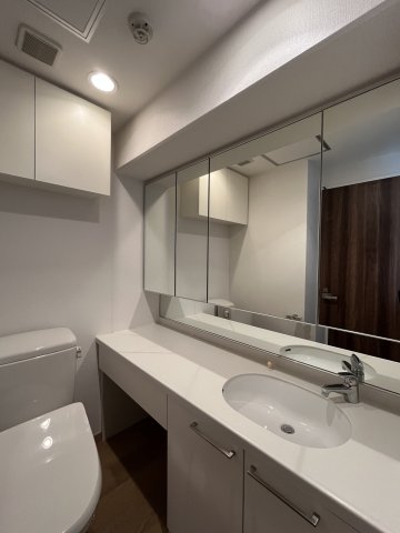 エムジー目黒駅前0501号室 洗面