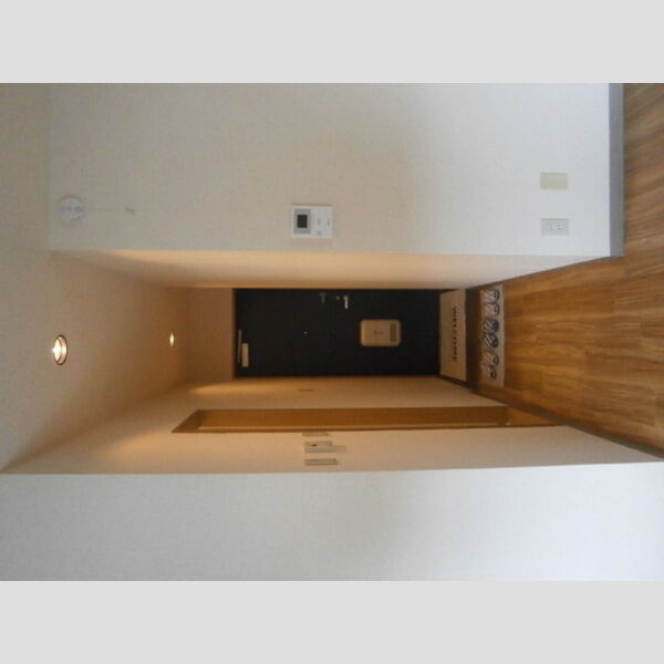 ルミエール宮崎台202号室 廊下