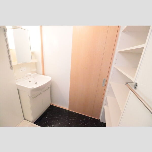 アルシオン　A203号室 洗髪洗面化粧台