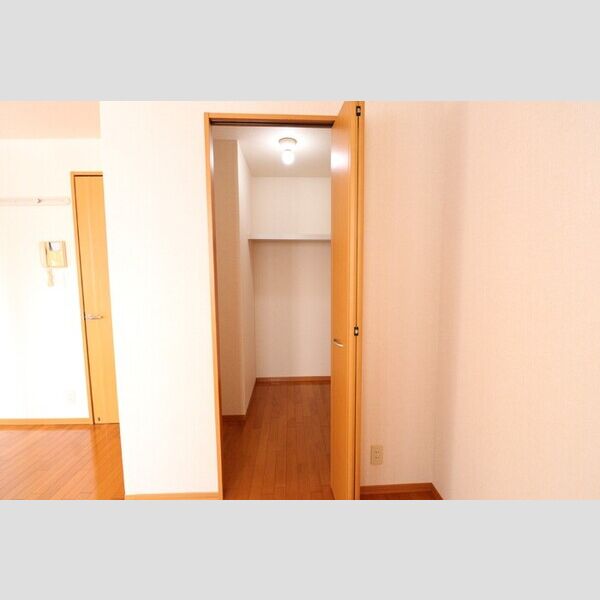 パークセントラル205号室 ウォークインクローゼット