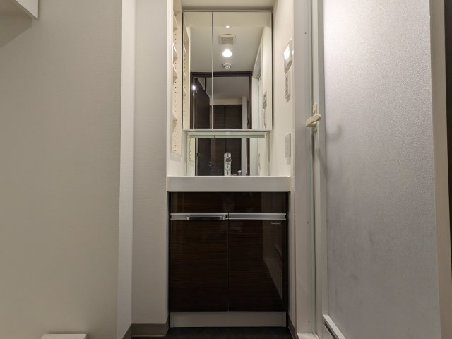 ケーディーエックスレジデンス豊洲432号室 洗面