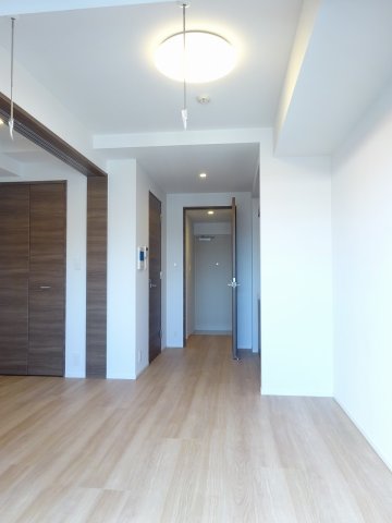 ラフィスタ蒲田南Ⅱ413号室 リビング