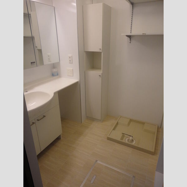 メゾンドール305号室 洗面室