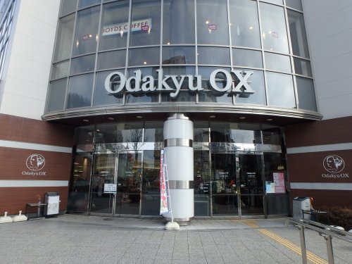 プライムアーバン新百合ヶ丘703号室 【スーパー】Odakyu-OX万福寺店まで29ｍ
