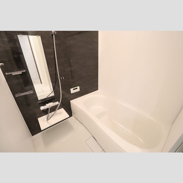 N・D-ROOM IIDACHOU　A棟103号室 浴室