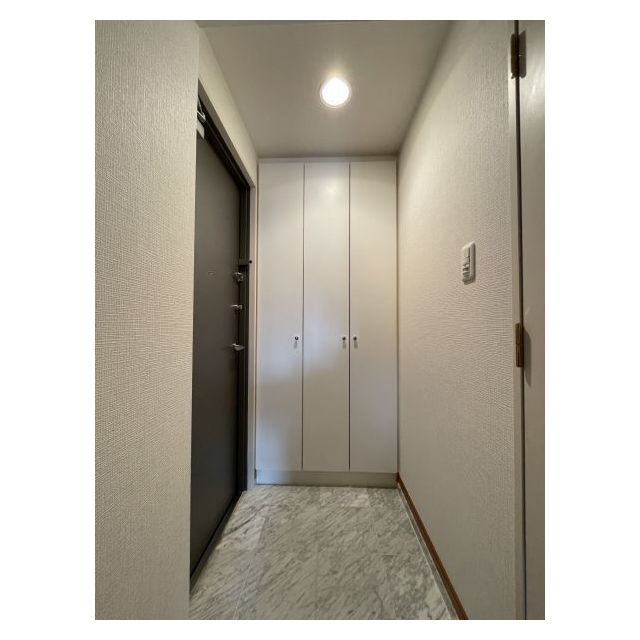 セントラル銀座1104号室 シューズボックス