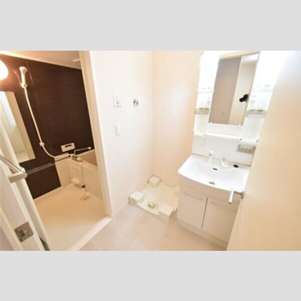 ハウスレンジア 洗面室