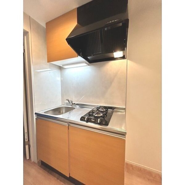 FOREST IWATSUKI205号室 キッチン