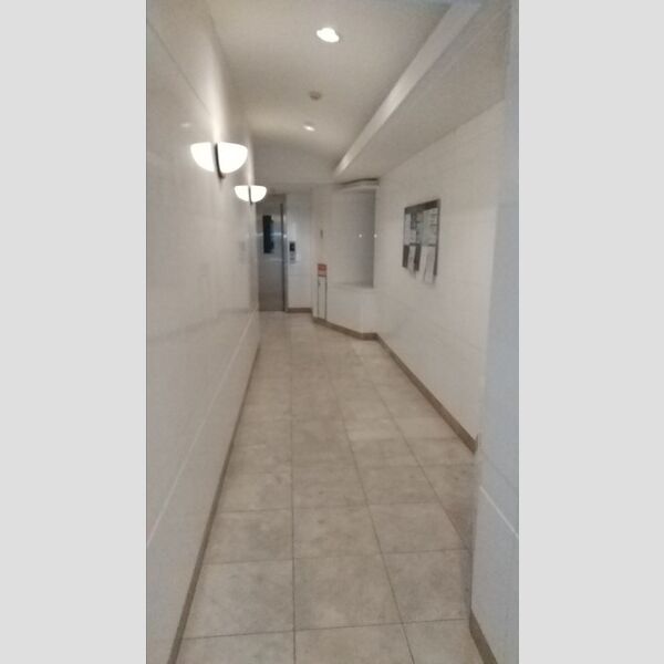 カスタリア新富町Ⅳ0502号室 共用部