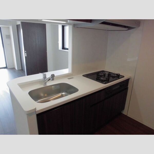 ポラリス菊川503号室 システムキッチン