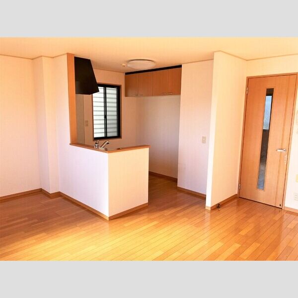 パルアモーレ　ABA101号室 LDK(14帖)