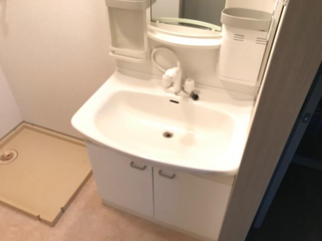 アメニティプレイス00601号室 脱衣所