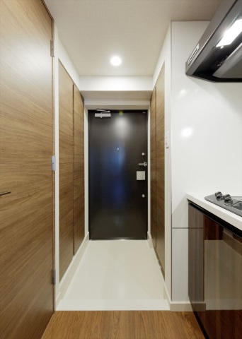 DIPS南六郷2205号室 玄関