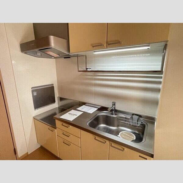 スプリング・K202号室 キッチン