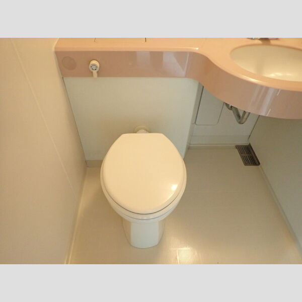 germer武蔵中原(ジェルメムサシナカハラ)307号室 トイレ(ユニット)