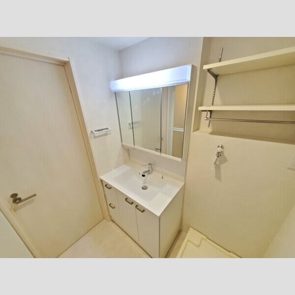 DHCR川口芝下 洗面室