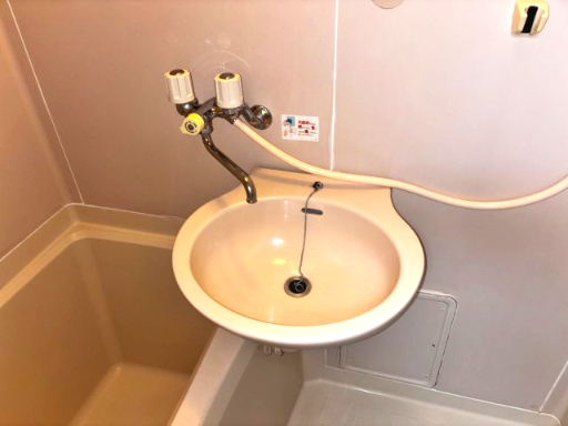 テラストーク相模原201号室 洗面