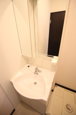 レオネクストドリーム金子302号室 同タイプ写真の為、現況優先致します。