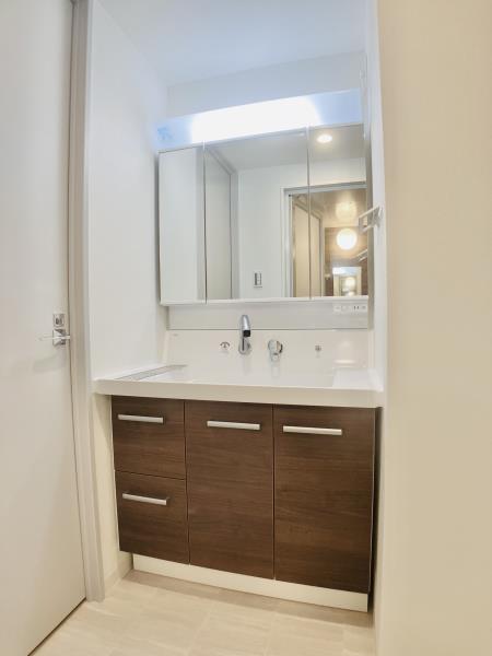 Ｓｏｌｅａｄｏ早稲田11階 洗面