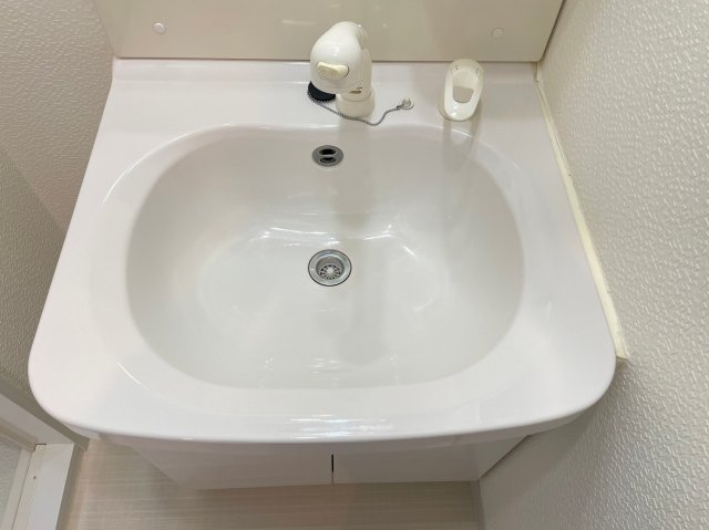 グラントゥルース巣鴨 洗面