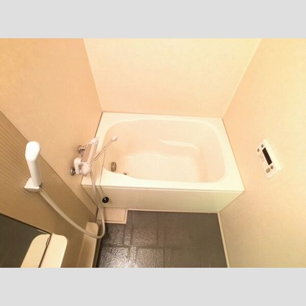 メゾン南台 浴室換気乾燥機付バスルーム