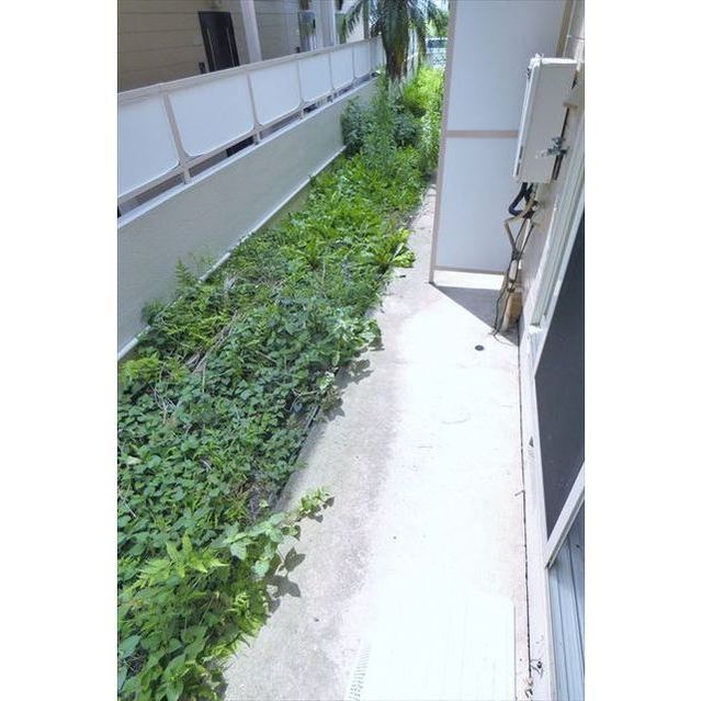 Ecol Resort 茅ヶ崎B 内観