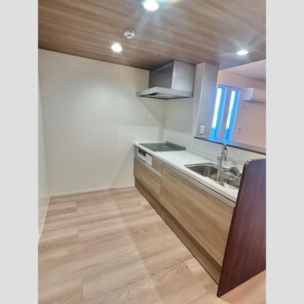 センカⅢ201号室 システムキッチン