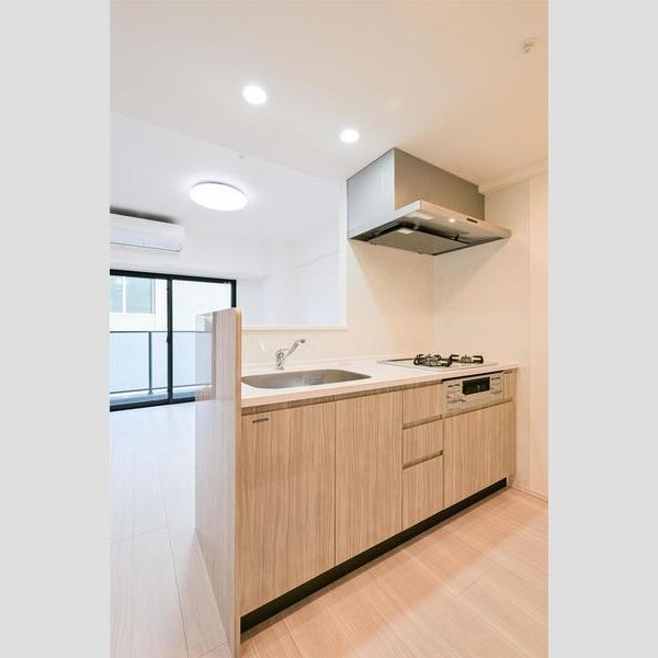 S-RESIDENCE千住大橋502号室 キッチン