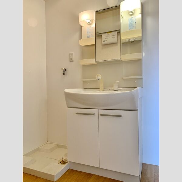 サンモールハウス201号室 洗面